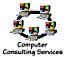Computer Consulting Services